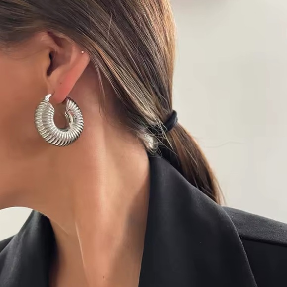 Twist Elegant Silver Hoop Earrings - Picture 1 of 7